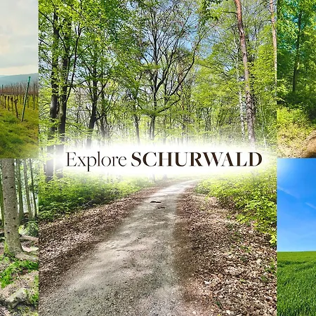 Schurwald Near Esslingen And Stuttgart *